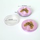 Jars/Pots 11ML 5037 Jars/Pots 11ML 5037
